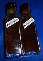 Vanille Extrakt